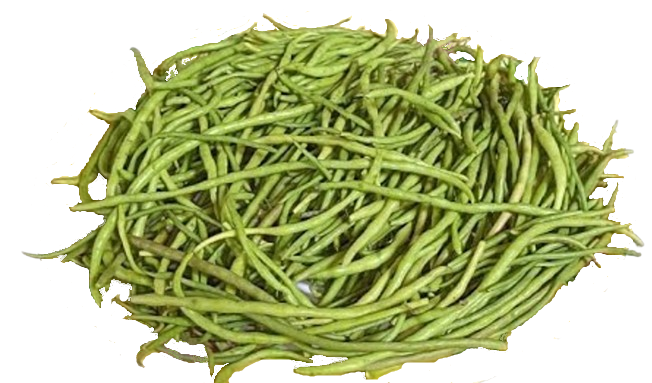 ताजी सांगरी- हरी सांगरी- कच्ची सांगरी